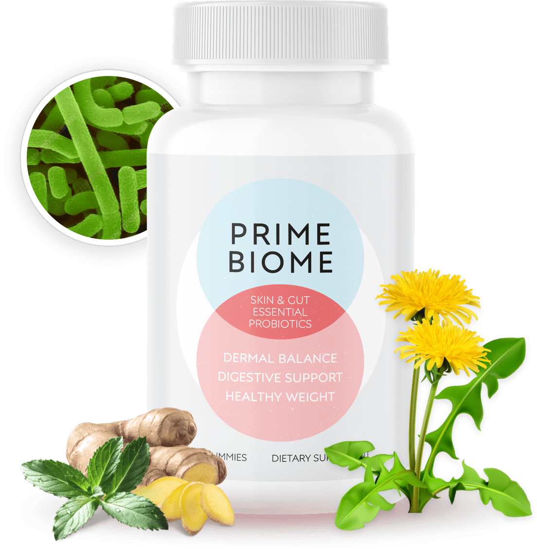 PrimeBiome Main Product